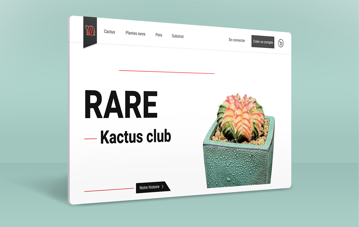 Kactus-Kactus